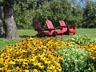 Red Chairs and Flowers